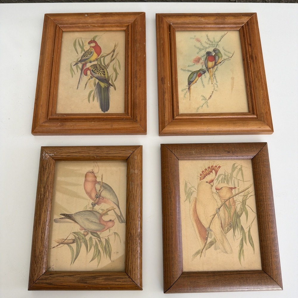 Set Of Four vintage 5" x 7" Framed framed lithograph bird prints By John Gould